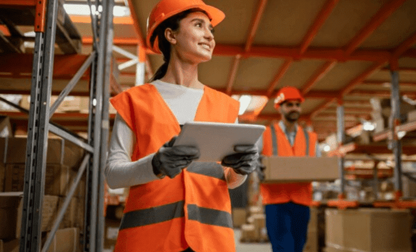 Captura de pantalla 2024-09-10 152003